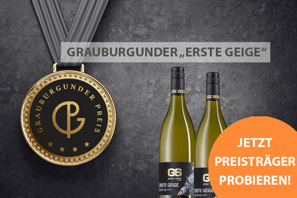 blogbeitrag_grauburgunder-erste-geige